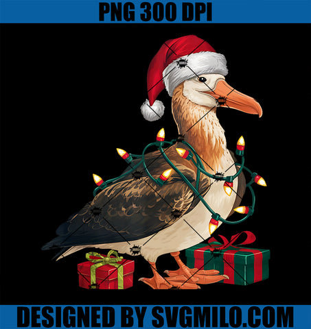 Albatross Xmas Lighting Santa Hat PNG, Albatross Bird Christmas PNG