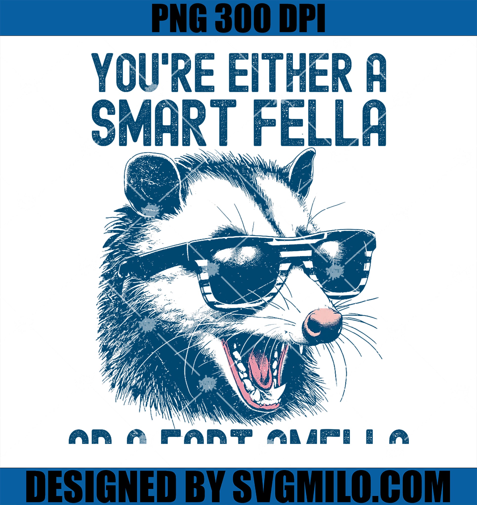 Are You a Smart Fella or Fart Smella PNG, Funny Sarcastic Racoon PNG