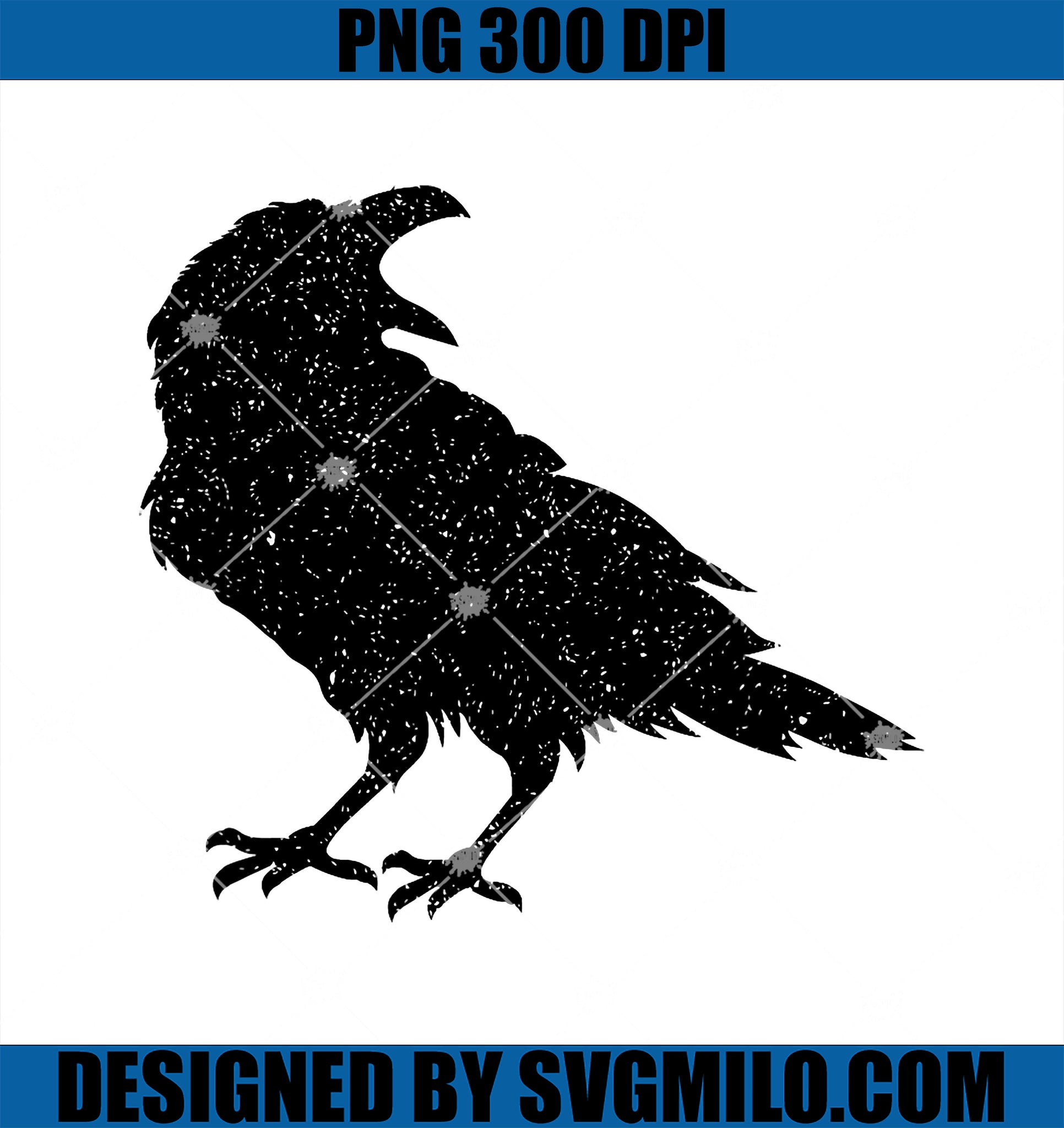 Beautiful Black Crow PNG, Raven Bird Silhouette PNG