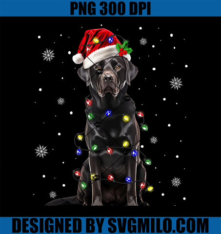 Black Lab Labrador Christmas Tree Light Pajama Dog Xmas PNG