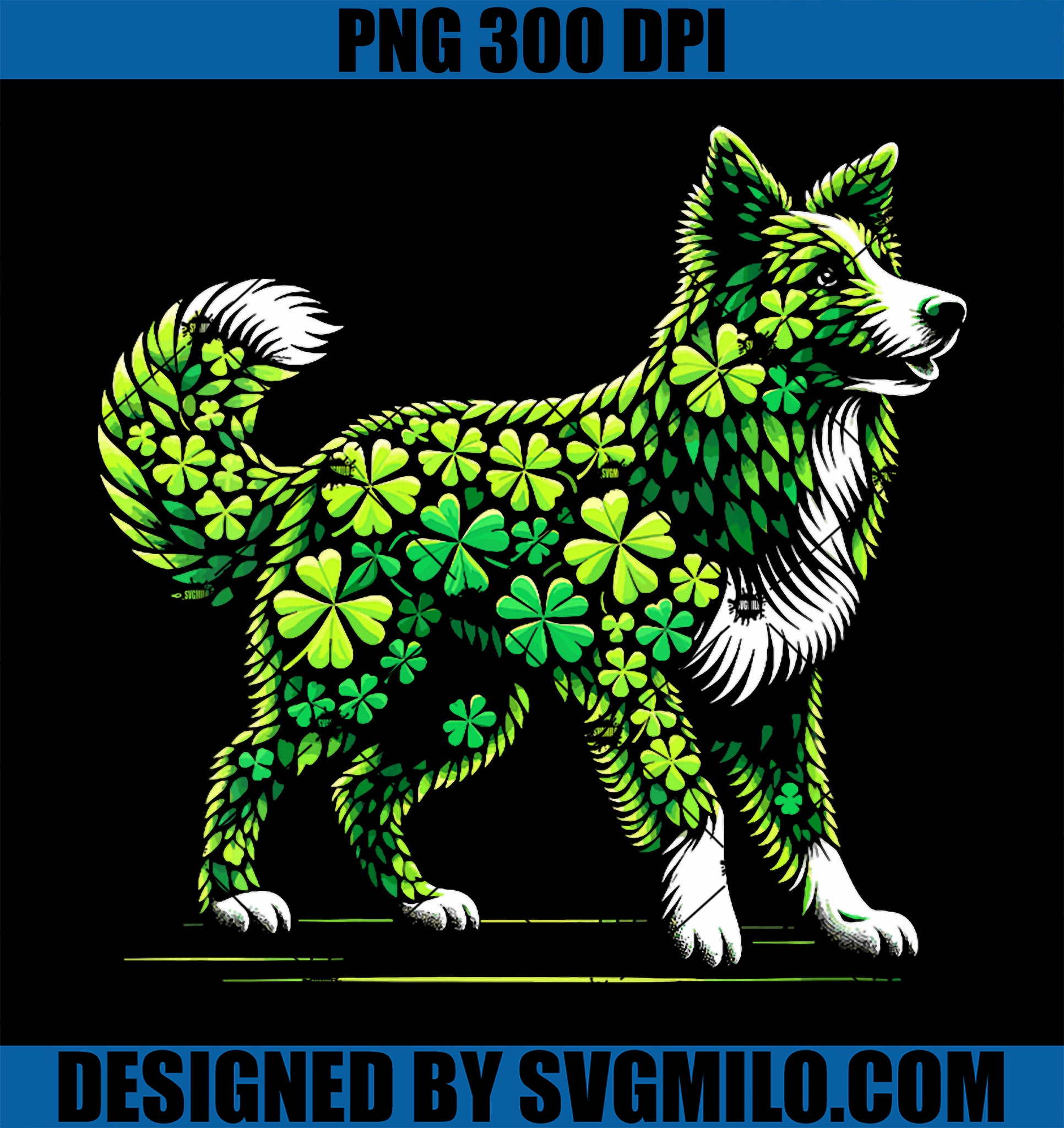 Border Collie Shamrocks PNG, St Patricks Day Dog PNG