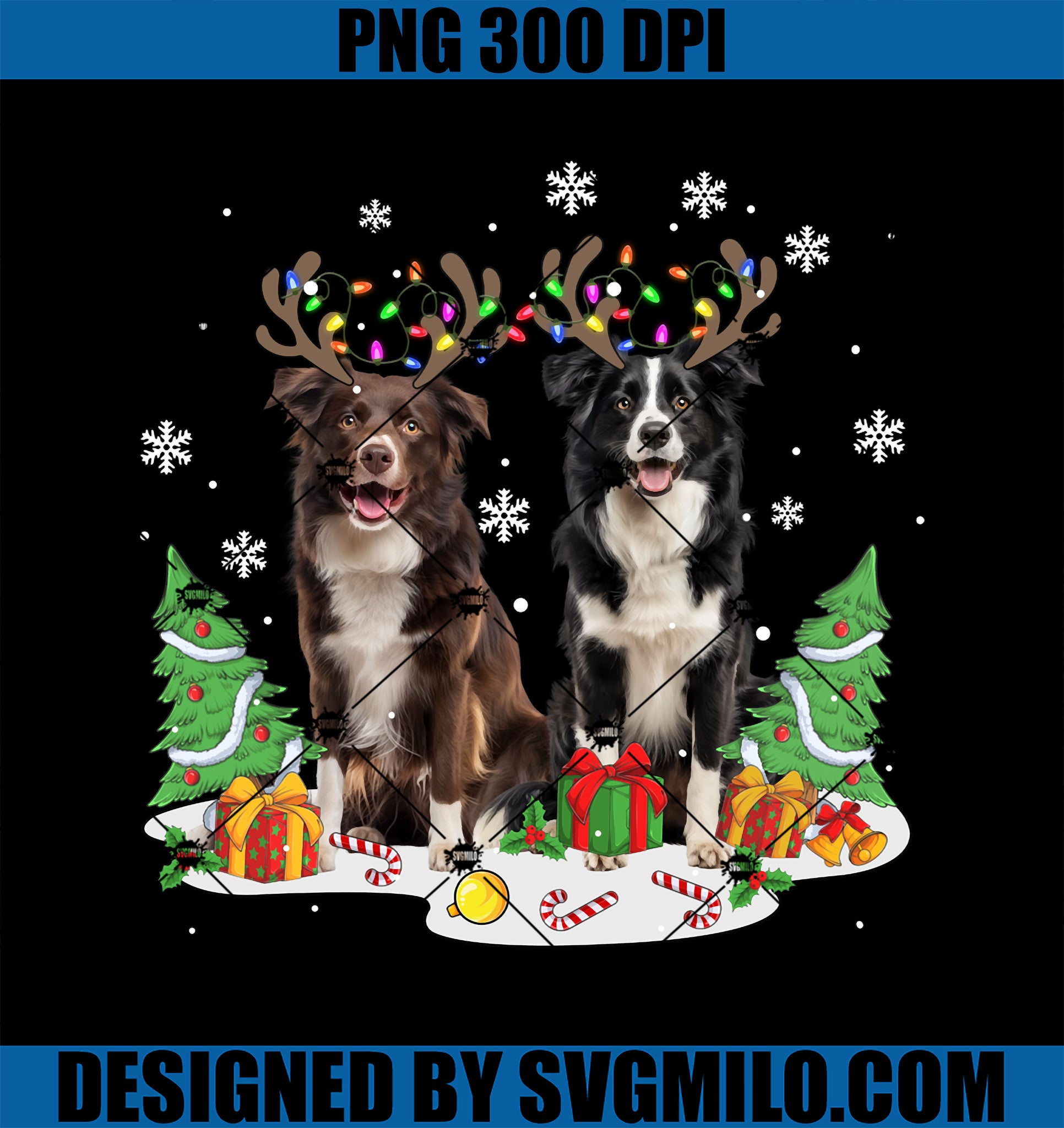 Border collie Dog Christmas lights Xmas Border Collie Dog PNG