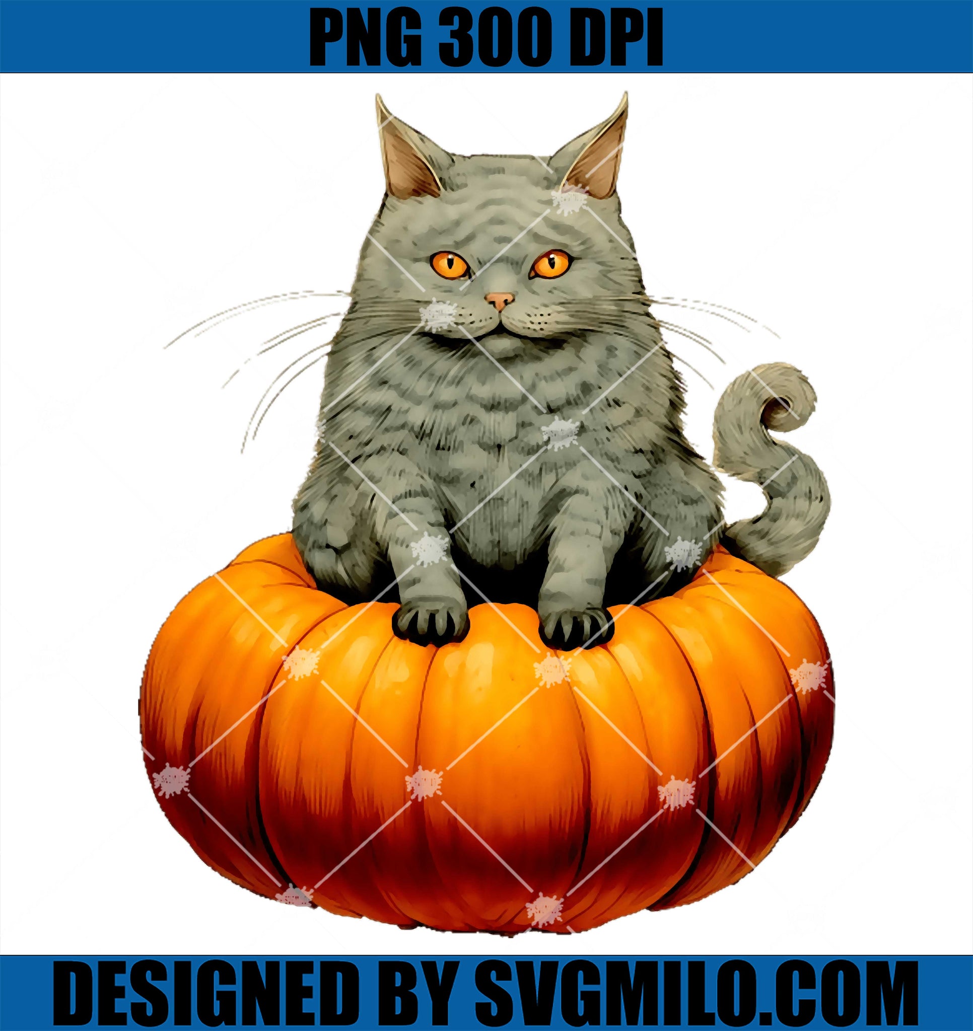 Cat On A Halloween Pumpkin PNG, Cat Pumpkin PNG