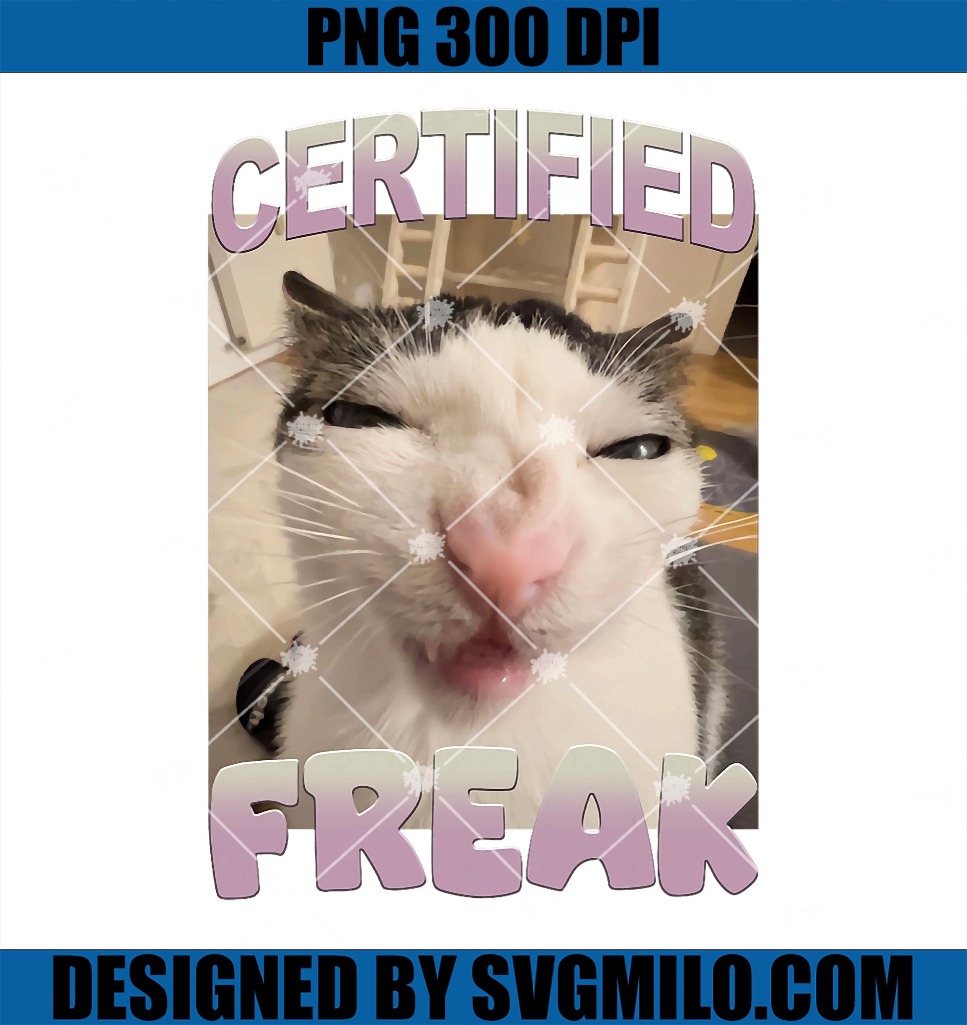 cat funny meme png