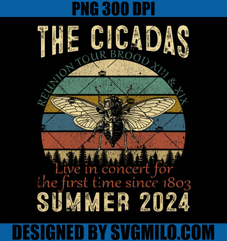 Cicada Brood XIII XIX Summer 2024 PNG, Reunion Tour Swarm Cicadas PNG