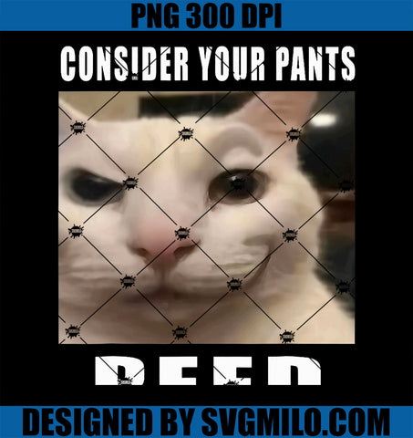 Consider Your Pants Peed Silly Cat Meme PNG