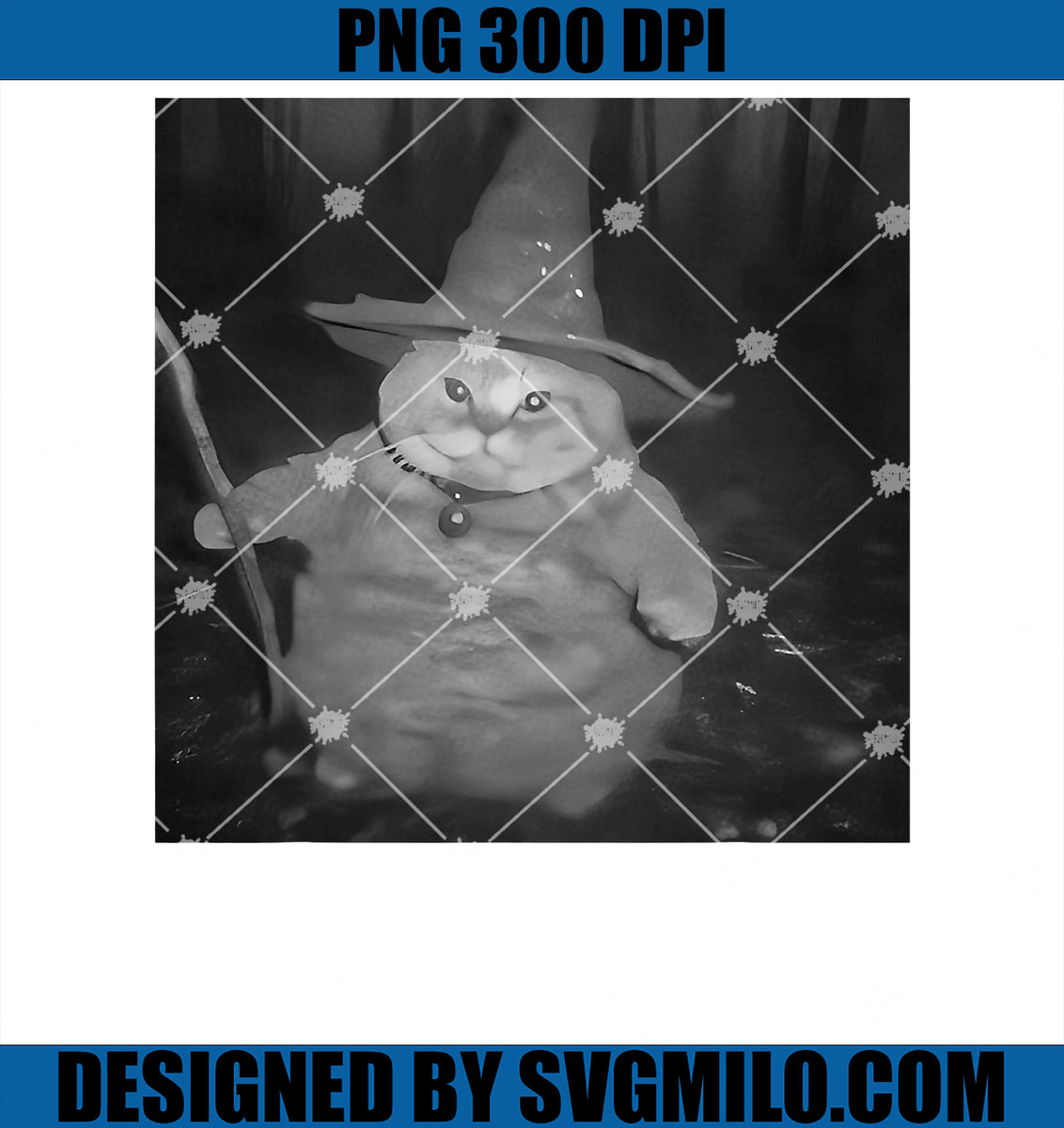 FatWizardCatFatKittenWizardPNG_FunnyCatMemeBrainRotPNGcopy_1200x1200 ...