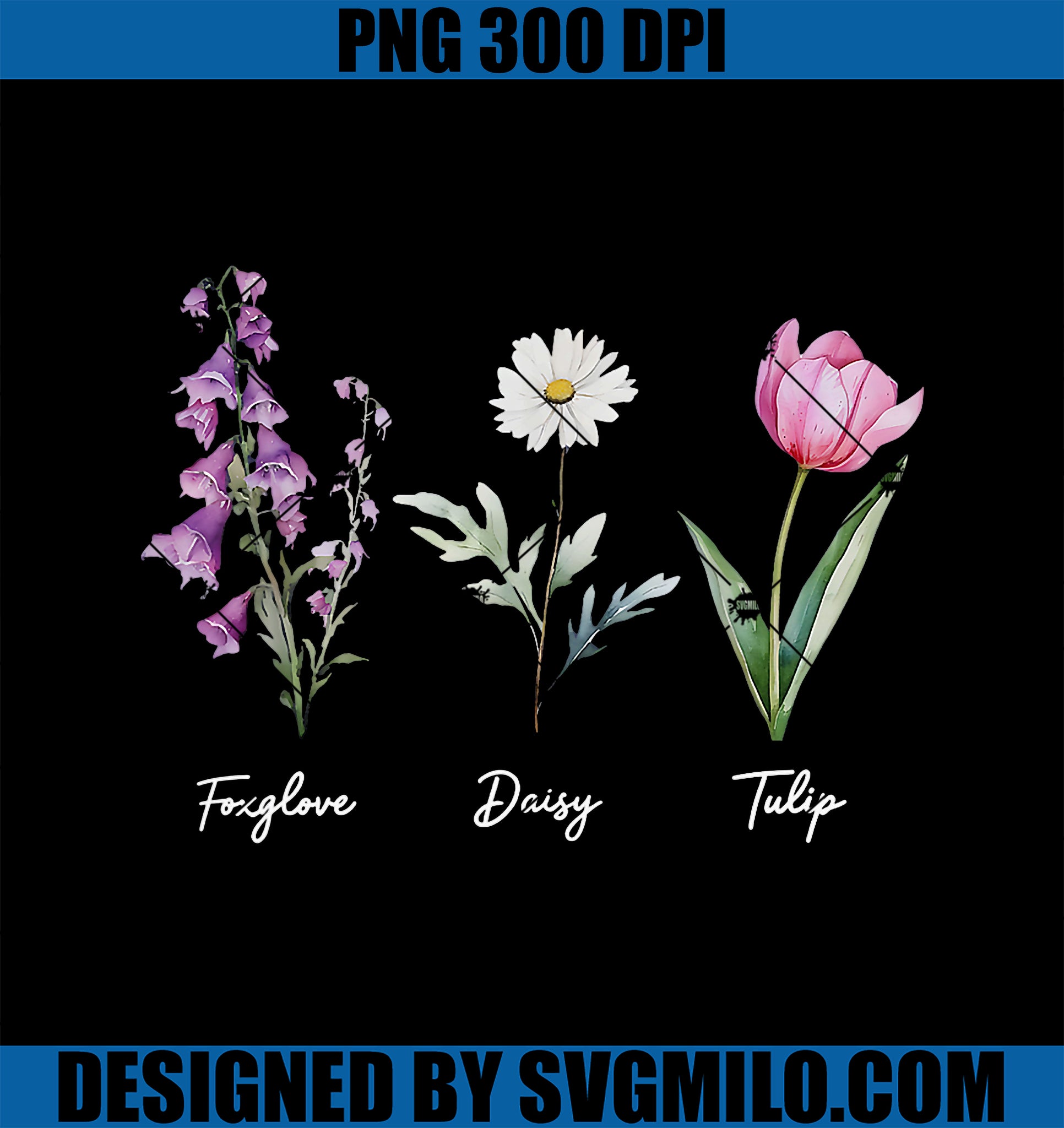 Foxglove Daisy Tulip PNG, Floral PNG