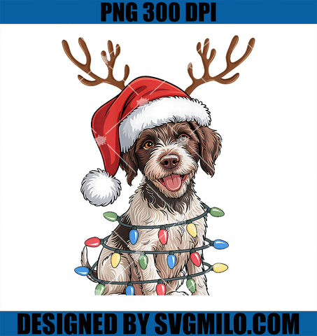 German Wirehaired Pointer Dog PNG, Christmas Lights Santa Xmas Premium PNG