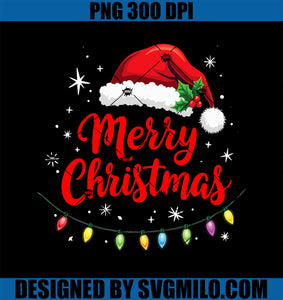 Merry Christmas Light Matching Family PNG, Merry Christmas Xmas PNG