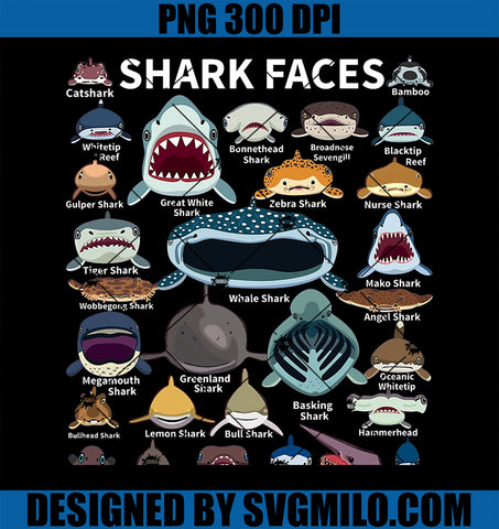 Shark Faces PNG, Shark Faces of All Kinds PNG