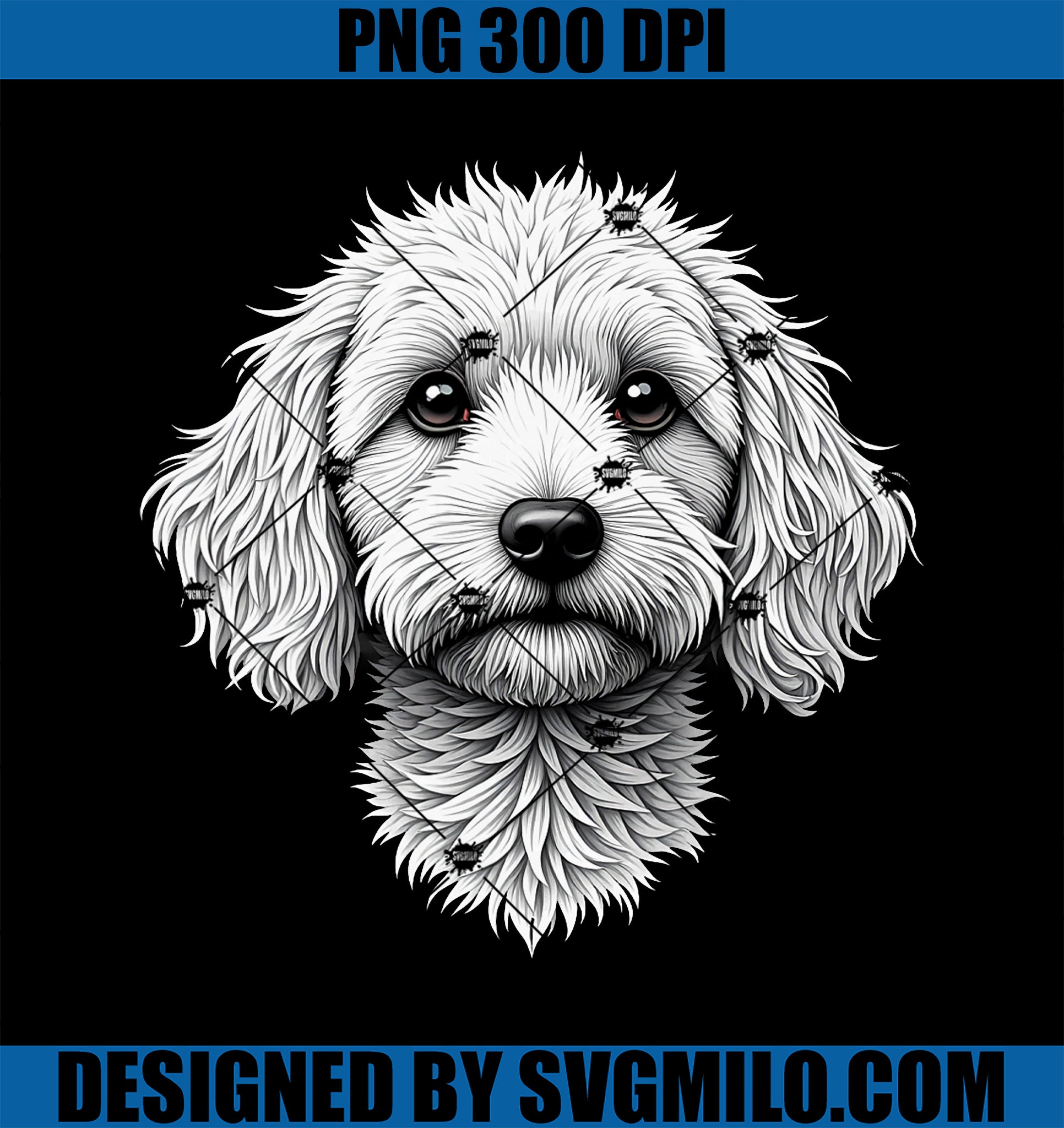 Cavapoo Dog Scetch Sketching PNG, Cavapoo Dog PNG