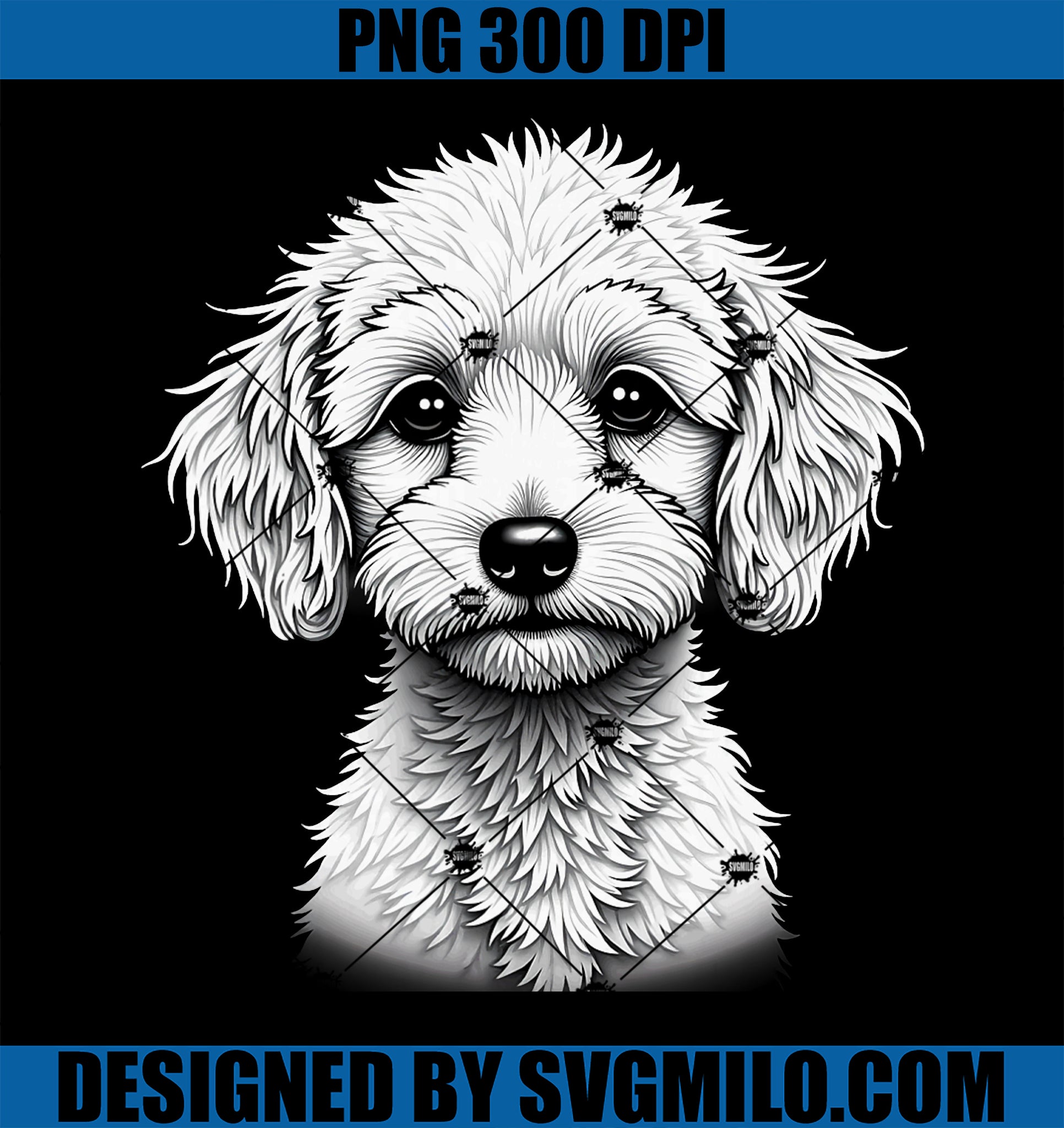 Sketching PNG, Cavapoo Dog PNG