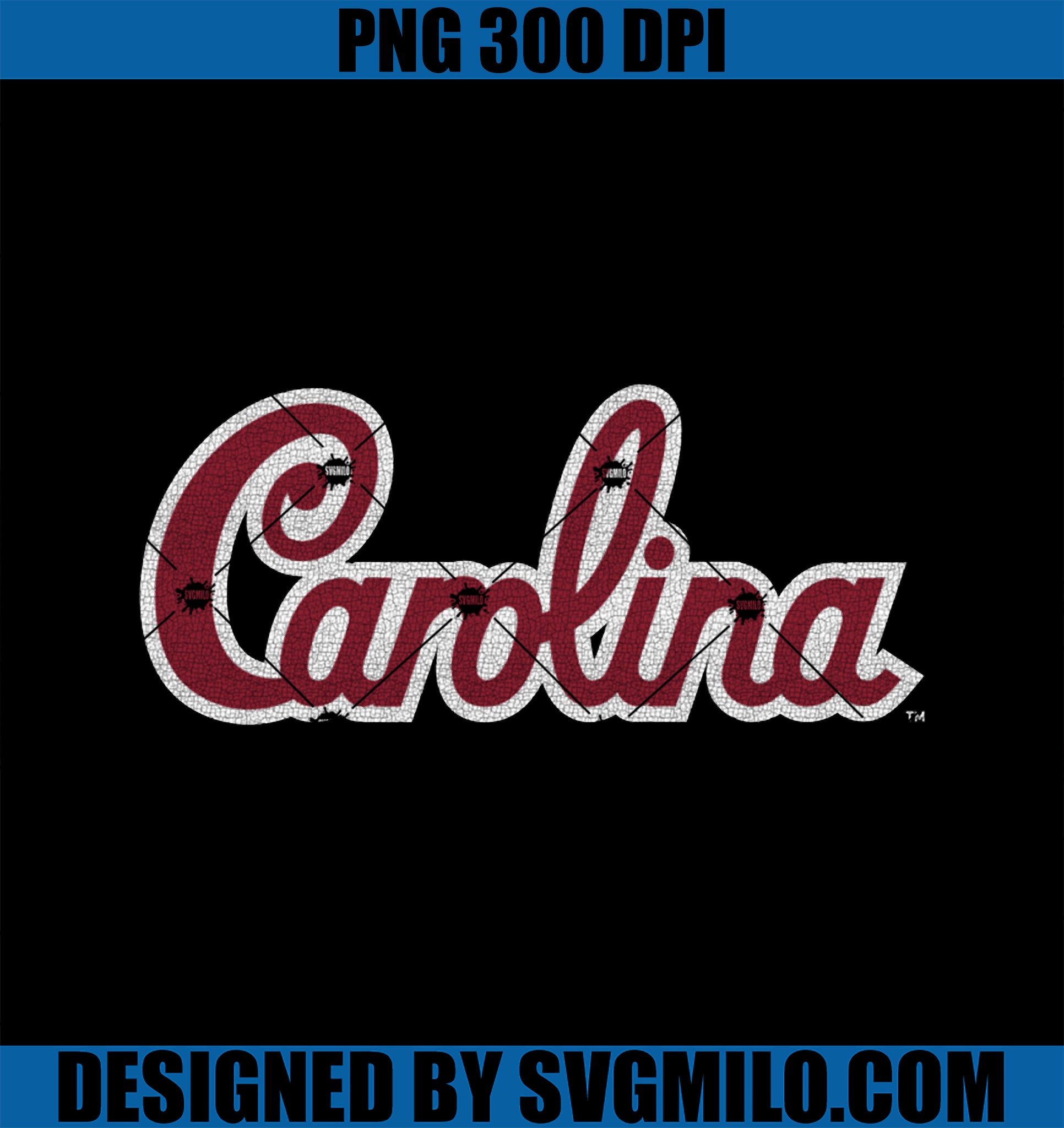 South Carolina Gamecocks PNG