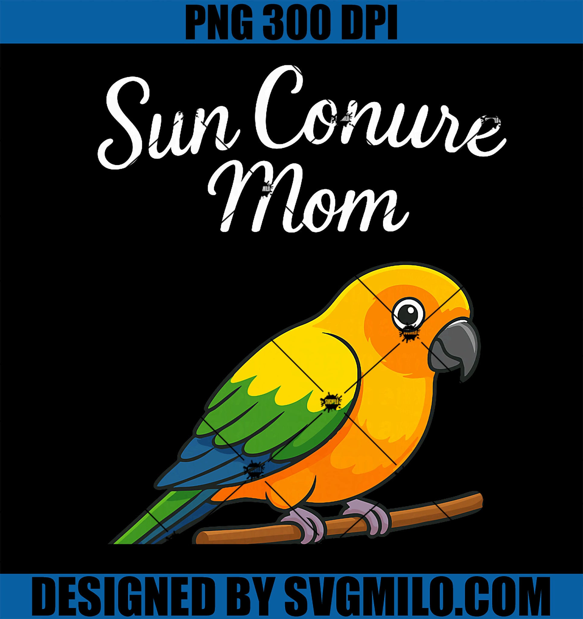 Sun PNG, Conure mom Parrot PNG