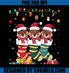 Three Beaver in Sock Funny Boys Girls Kids Christmas PNG