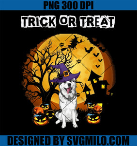 Trick Or Treat Funny PNG, Siberian Husky Pumpkin Halloween PNG