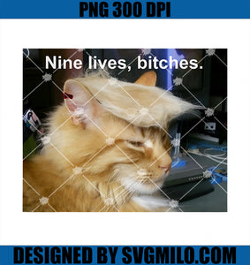 Trump Cat Nine Lives Bitches PNG