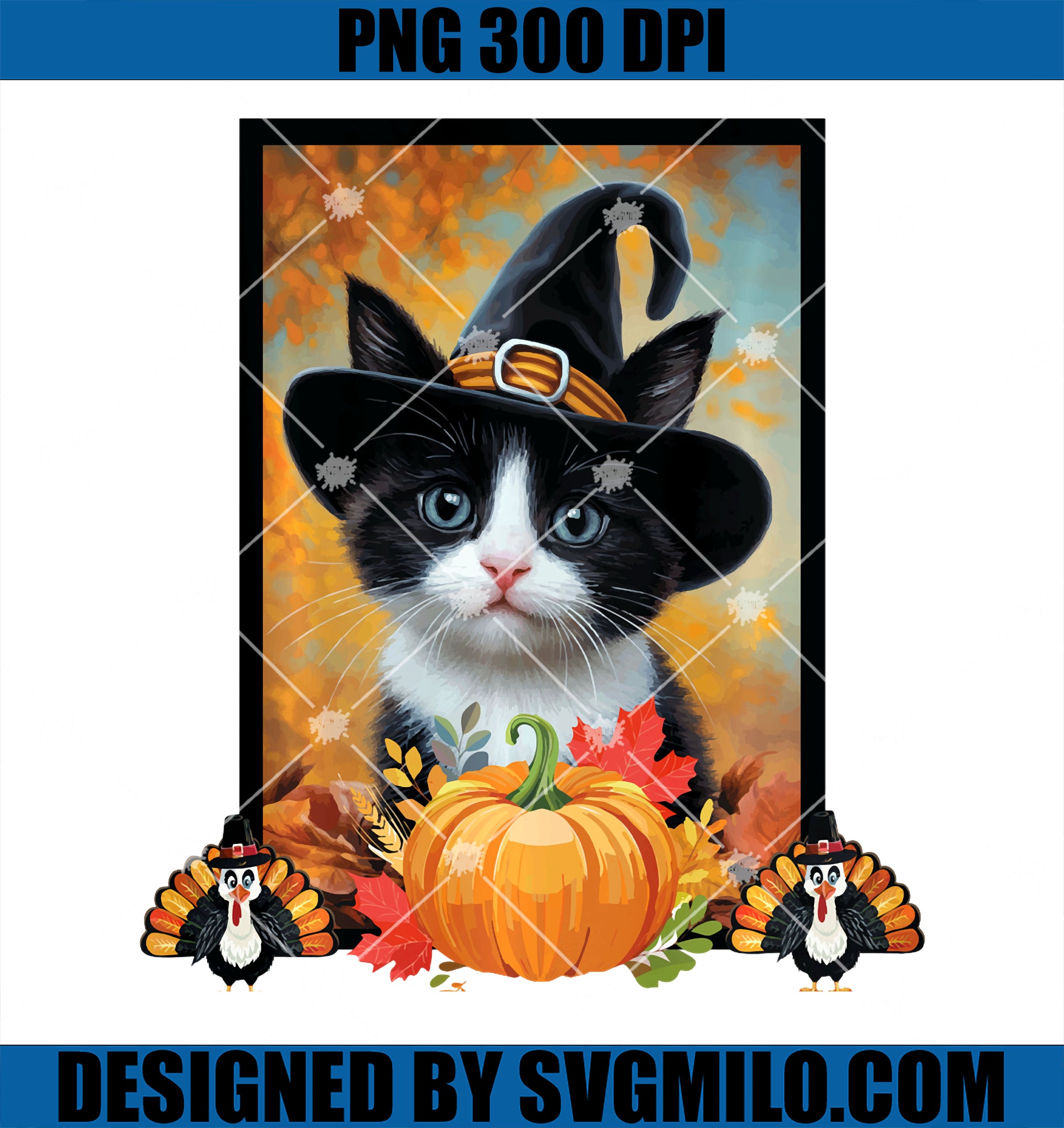 Tuxedo Cat Thanksgiving Pilgrim Hat Turkey Pumpkin PNG