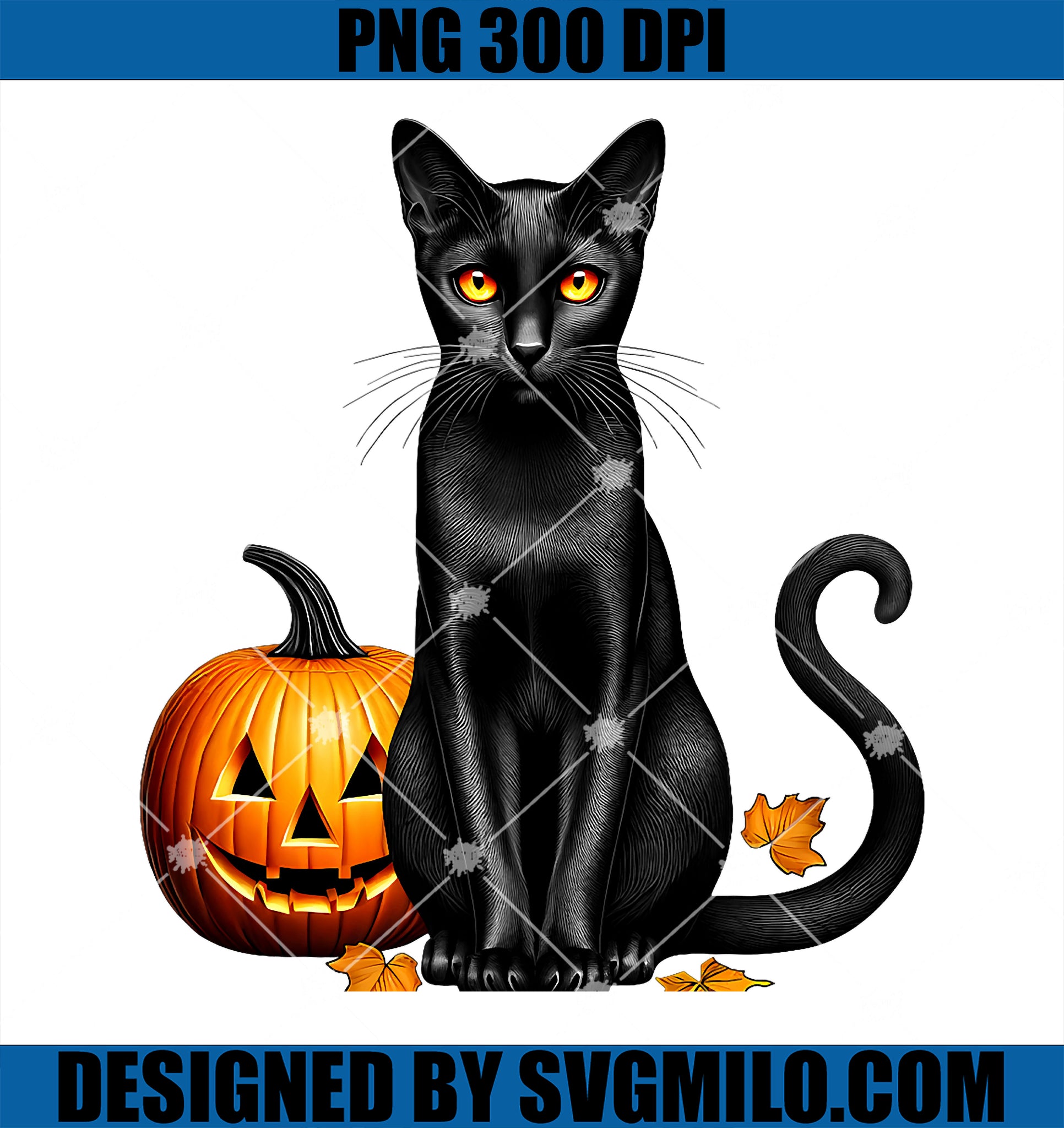 Vintage Creepy Spooky Black Cat Pumpkin Halloween PNG