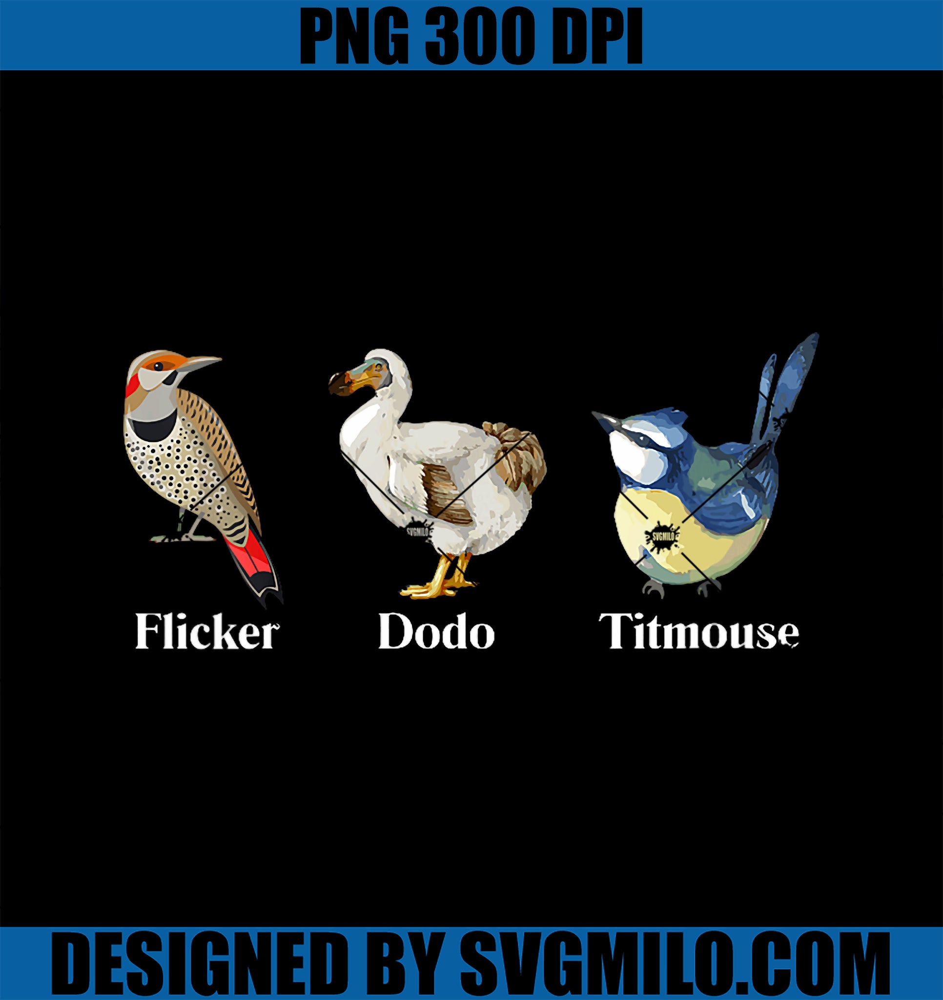 Womens Flicker Dodo Titmouse PNG, Funny Bird Clever Birdwatcher Humor PNG
