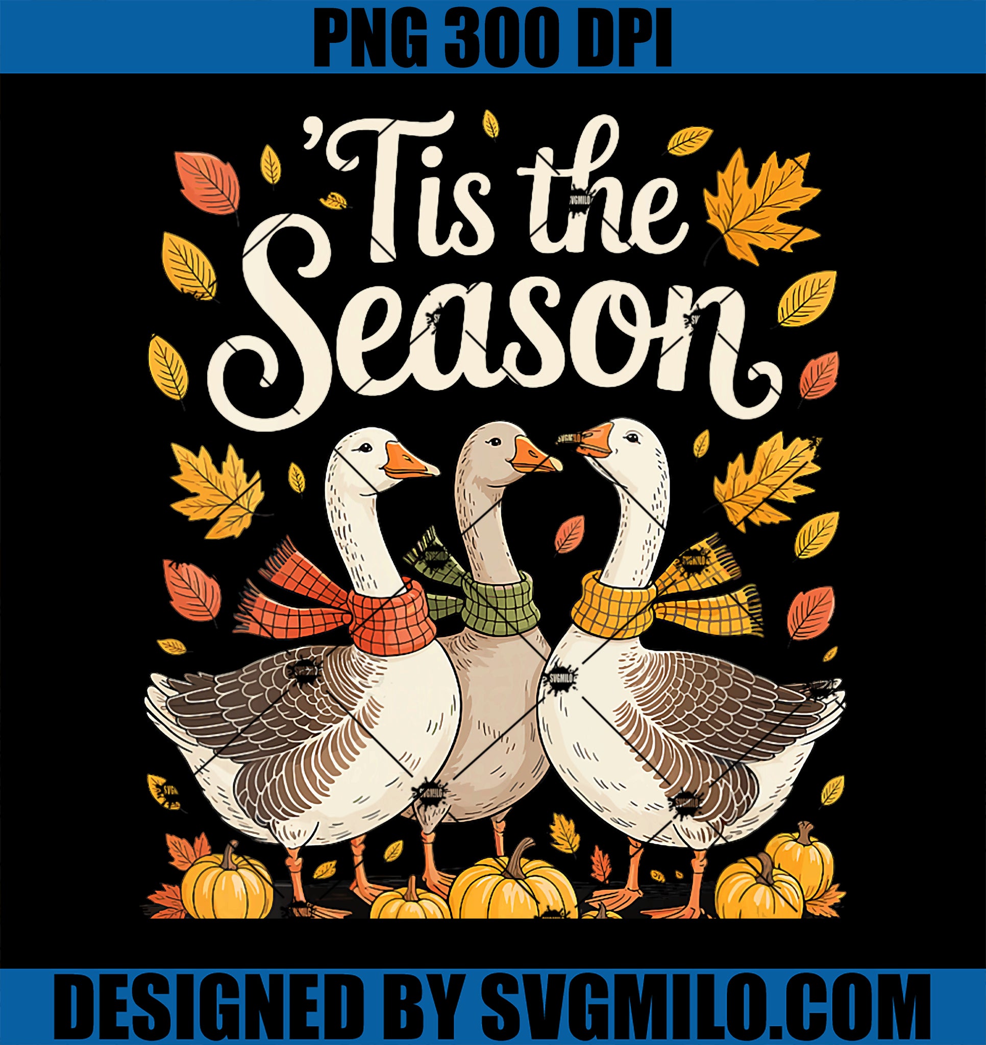 Womens Tis The Season PNG, Goose Fall Autumn Pumpkin Farm Animal PNG