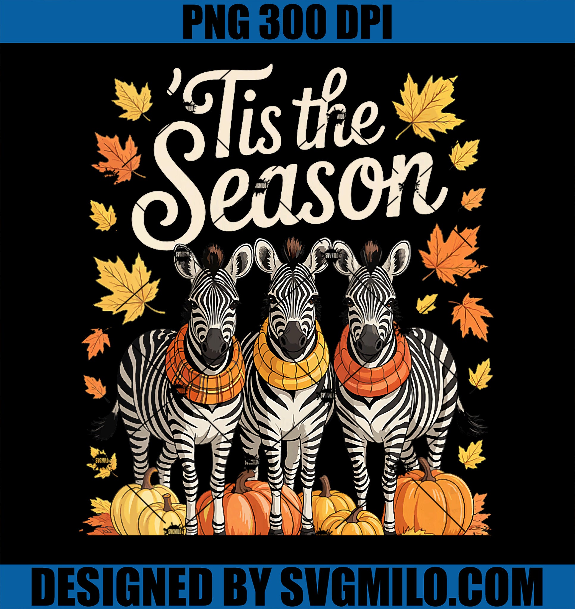 Womens Tis The Season Zebra Fall Autumn PNG, Pumpkin Safari Animal PNG