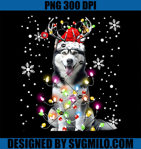 Xmas Family Matching Santa Hat Husky Dog Christmas PNG