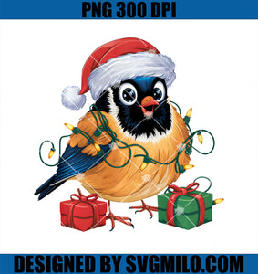 Xmas Lighting Santa Hat American Robin Bird Christmas PNG