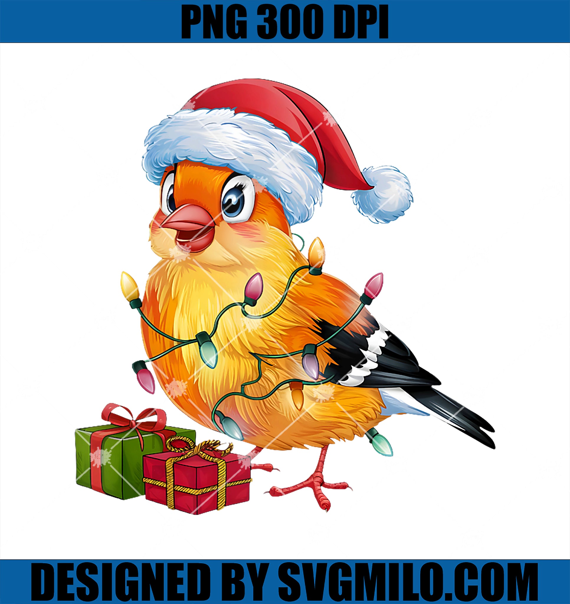 Xmas Lighting Santa Hat Goldfinch Bird Christmas PNG