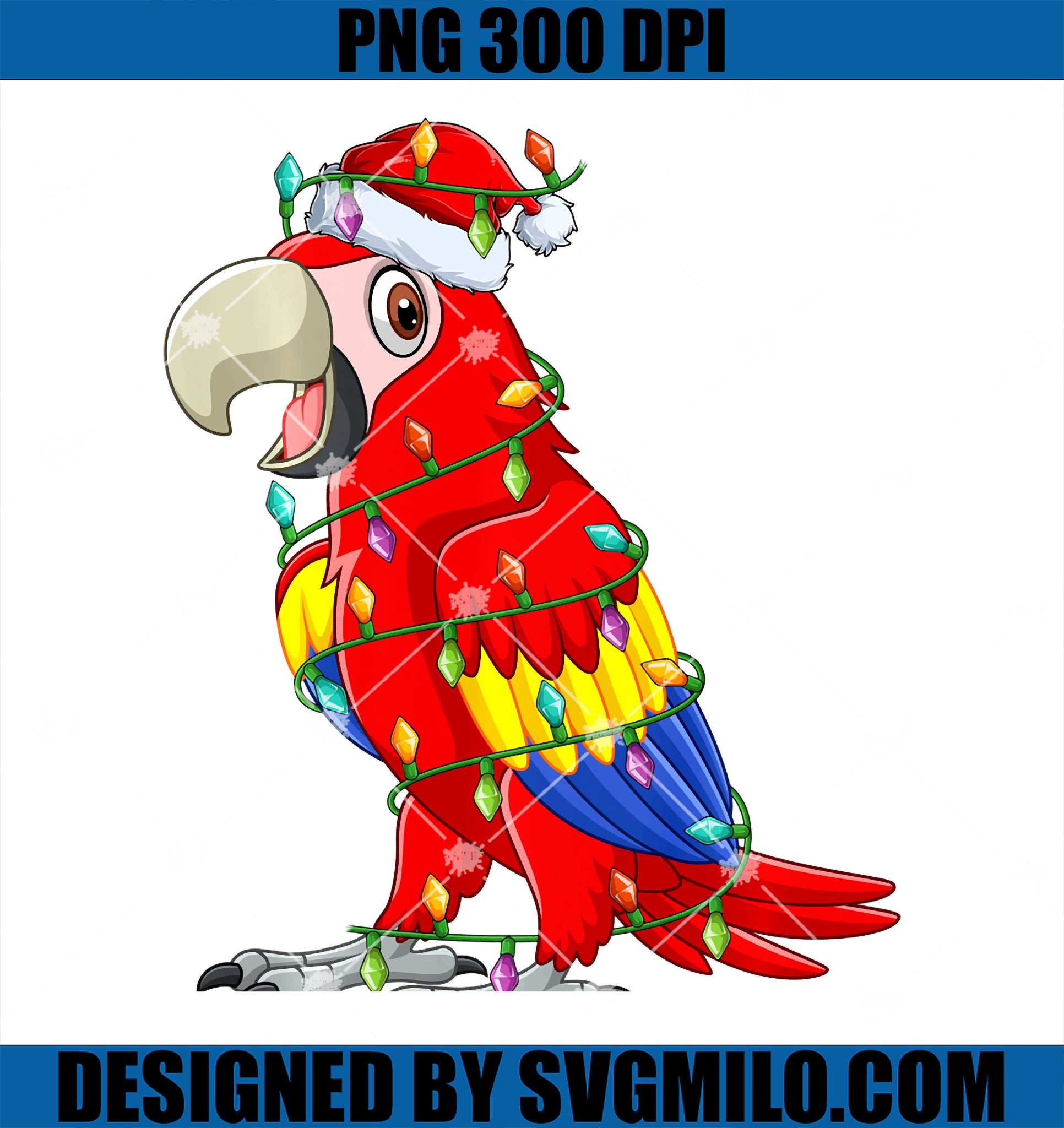 Xmas Lights Santa Hat Parrot Bird Christmas PNG