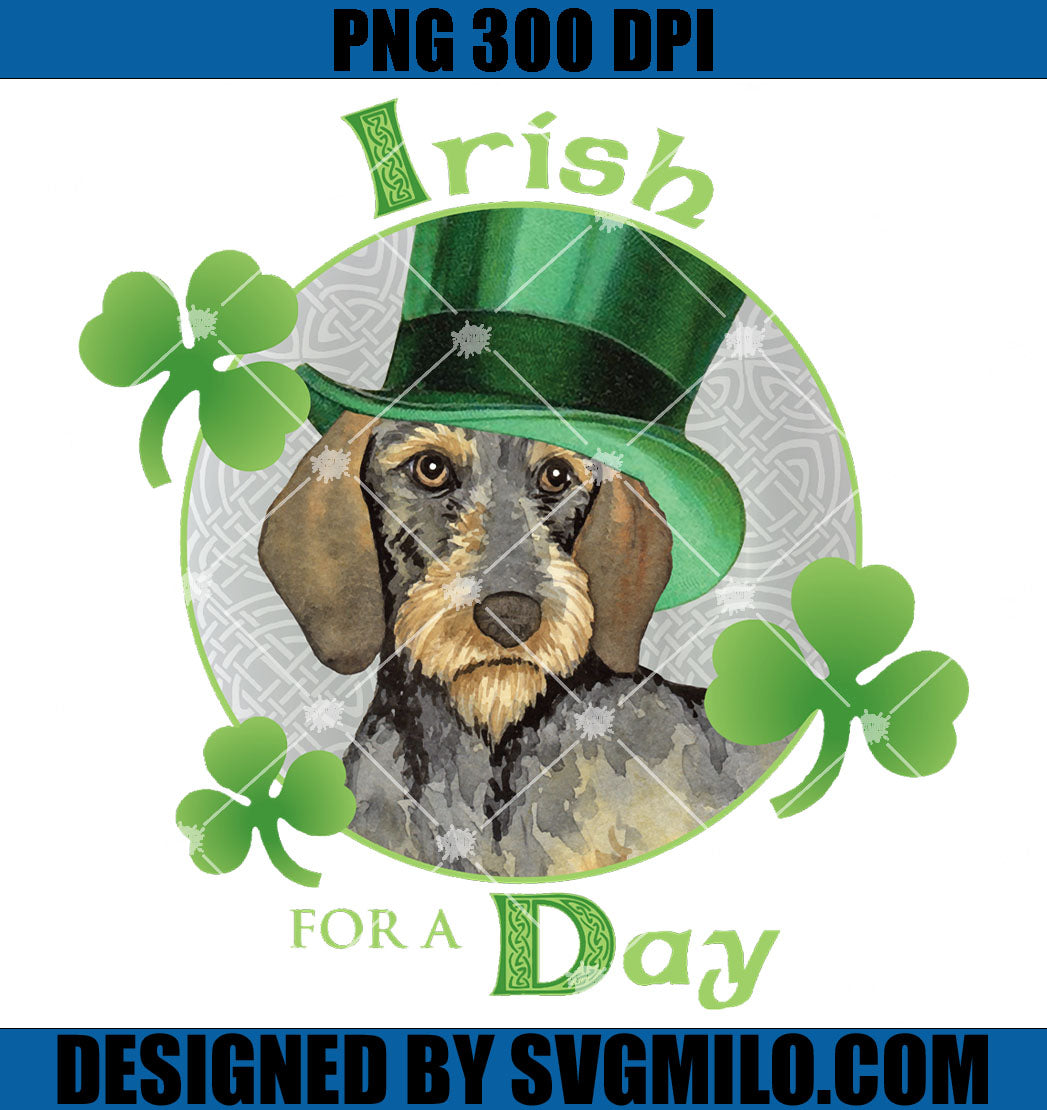 St. Patrick's Day Wirehaired Dachshund PNG, Dog Patrick PNG