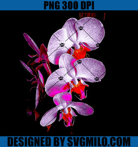 Summer Orchid PNG, Flower Orchid PNG