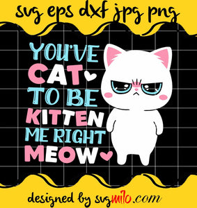 You've Cat To Be Kitten Me Right Meow cut file for cricut silhouette machine make craft handmade - SVGMILO
